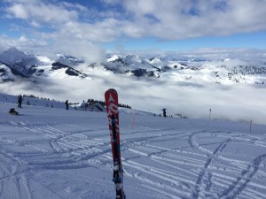 uitzicht-met-latjes-rechtop