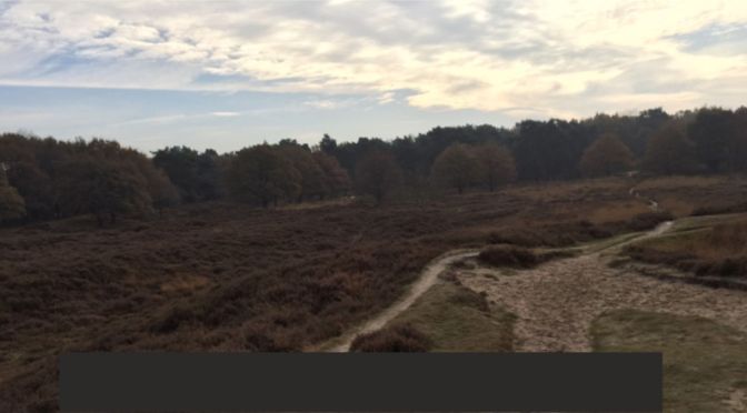 Pieterpad dag 4: Zuidlaren-Rolde, en iets er voorbij…