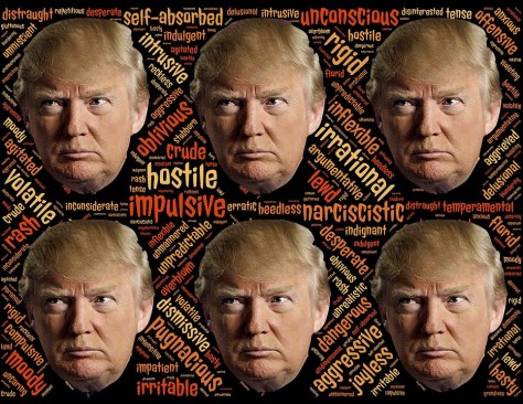 trump-1779709_960_720